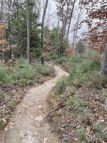 Wheel Family Fun - Leaves and Trails - Shumway Trail leaf-blown