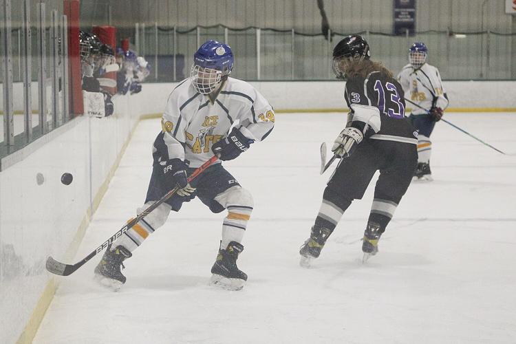 03-02-22 Ice Cats lemery along boards