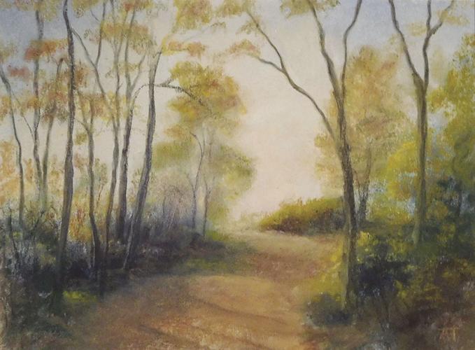 Amy Taylor's Autumn Path
