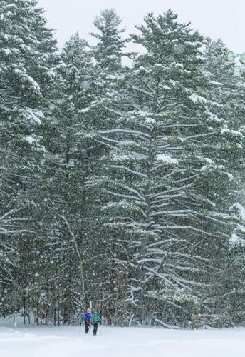 01-26-25 Snowstorm whitaker skiers wide