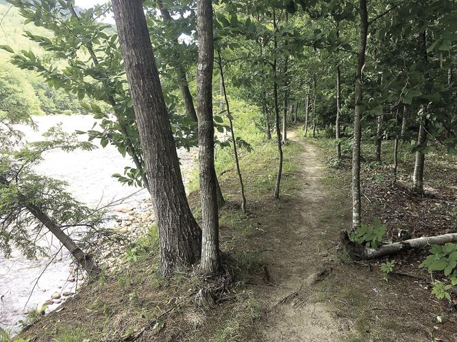 Wheel Family Fun - single-track parallels the Saco River