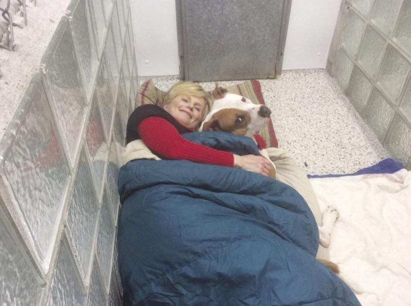 Harvest Hills Animal Shelter to present annual Christmas Eve sleepover