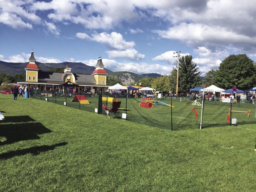 Bark in the Park: Dogs have their day