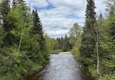 Unusual Auction seeks to sell 1,700 acres of land in 17 parcels in Androscoggin Valley