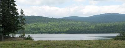 Connecticut Lakes Headwaters Working Forest