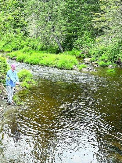 North Country Angling - The Connecticut Lakes Working Forest