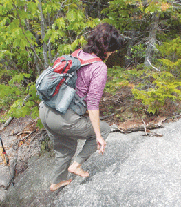 Barefoot on Welch/Dickey Mountain