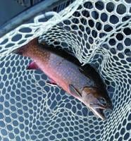 North Country Angling: Unwritten rules, etiquette and the art of fishing