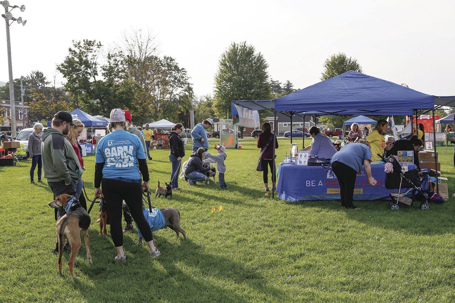 Bark at the Park Participant Registration and Information