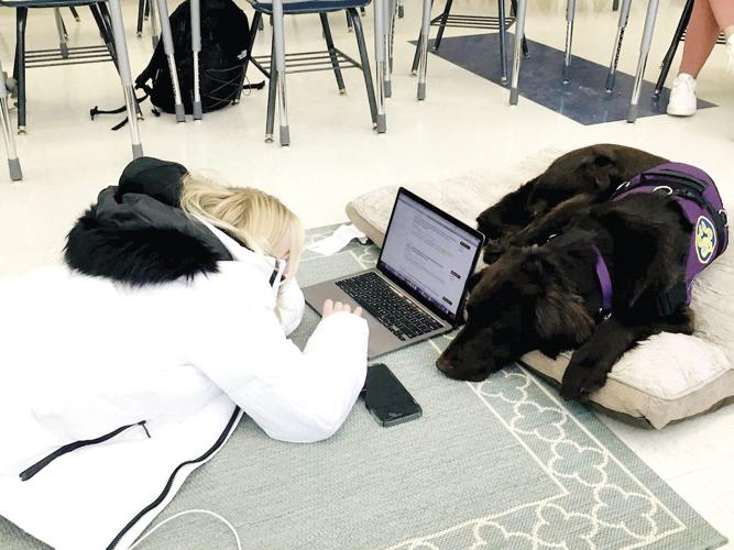ACTS Graduation preview - Facility dog Frisco next to computer