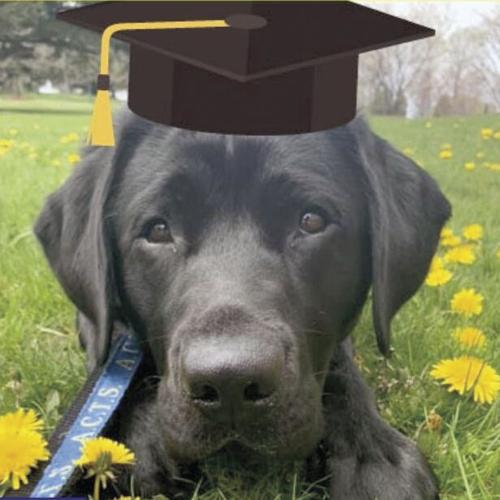 ACTS - Facility dog for education Flint