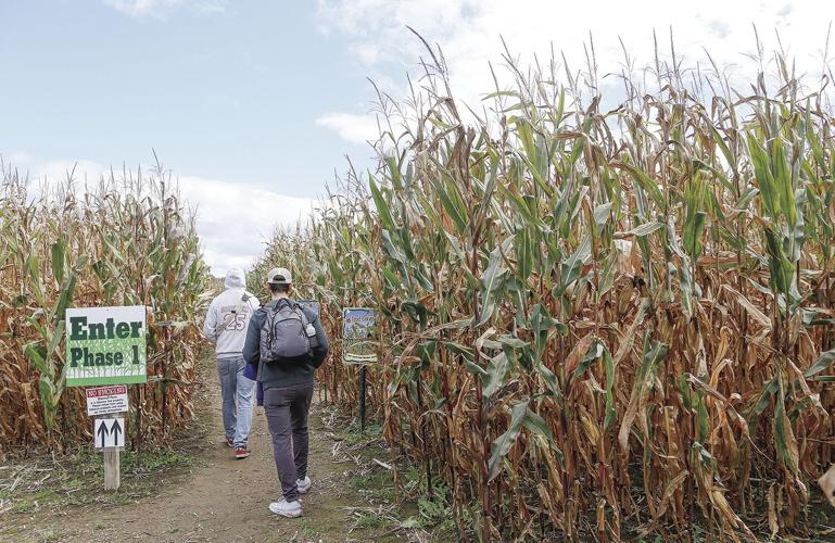 10-08-23 Corn Maize entrance