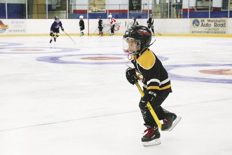 08-02-21 Ham Arena hockey kids medium