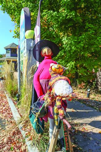 09-30-25 Pumpkin People white birch vertical wider
