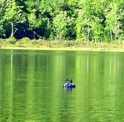 North Country Angling - Four wheelin' fishing