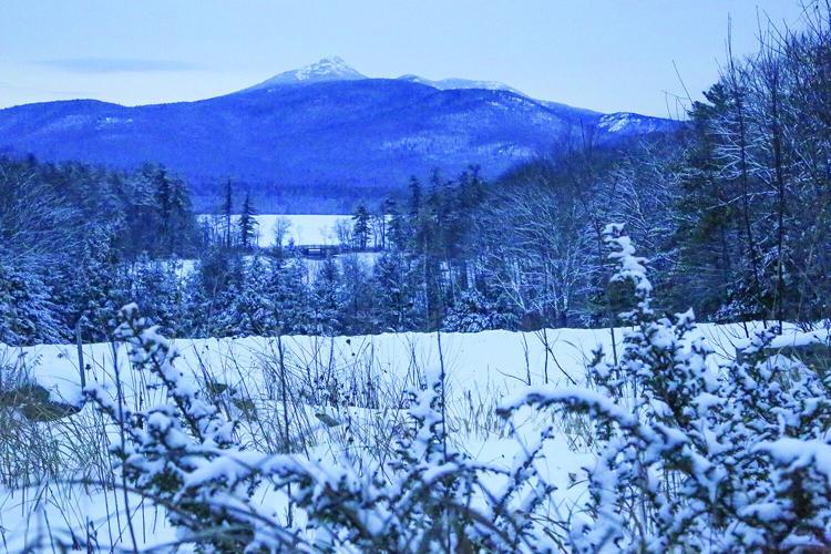 01-24-26 Snow on Chocorua brush in foreground