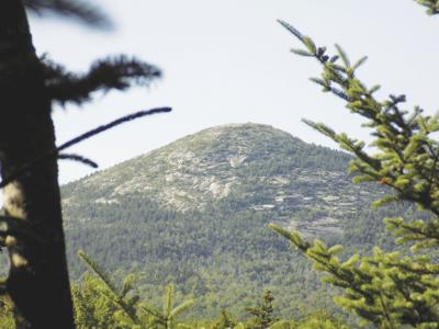 South Baldface from the Slippery Brook Trail