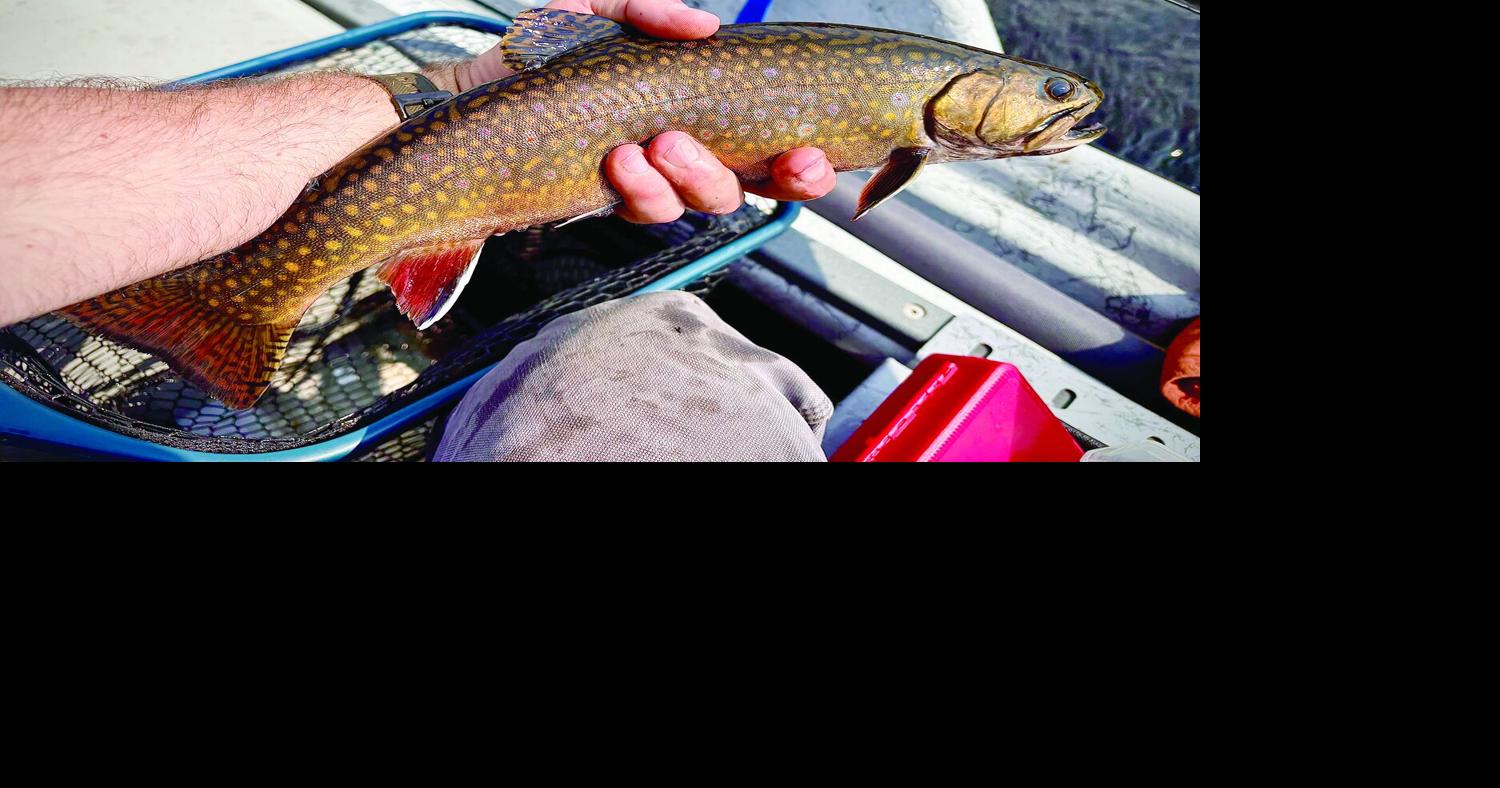 North Country Angling: The legend of Coon Brook Bog Aug 21, 2026 20 mins ago