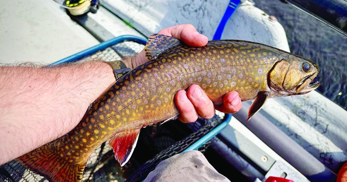 North Country Angling: The legend of Coon Brook Bog Aug 21, 2026 20 mins ago