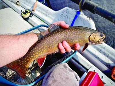 North Country Angling - Coon Brook Bog
