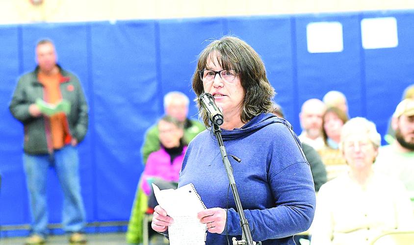 Bartlett School Meeting - school choice - Joan Heysler close up