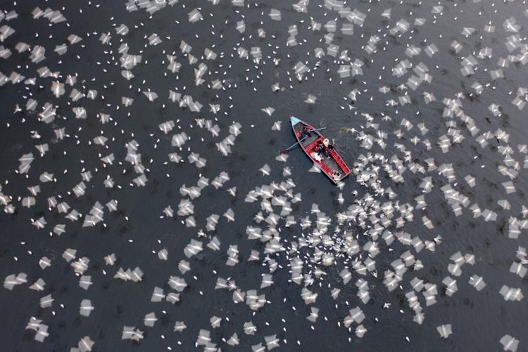 1,500 entries as aerial photography awards name winners