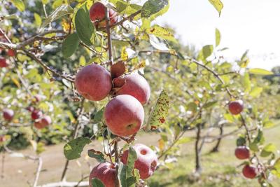 09-19-24 Hatches tightest