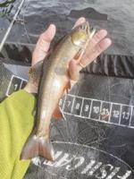 North Country Angling: Year in review and resolutions