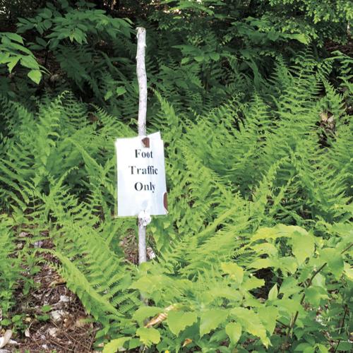 trail restriction bearpaw.jpg