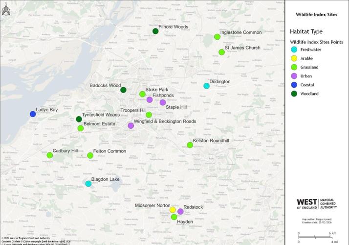 Rare species of pink fungus discovered in UK for first time