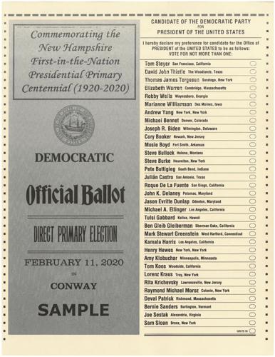 Democratic-Ballot1.pdf