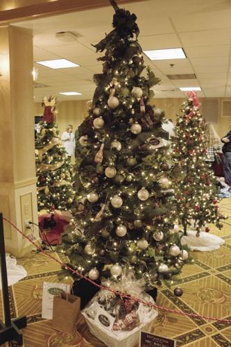vito's tree.jpg