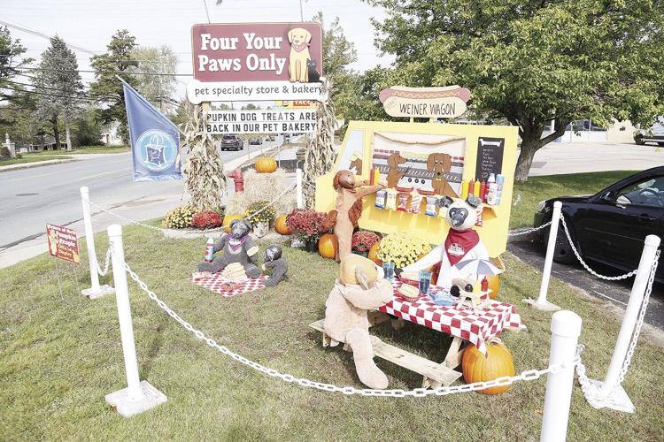 10-05-21 Pumpkins fypo side