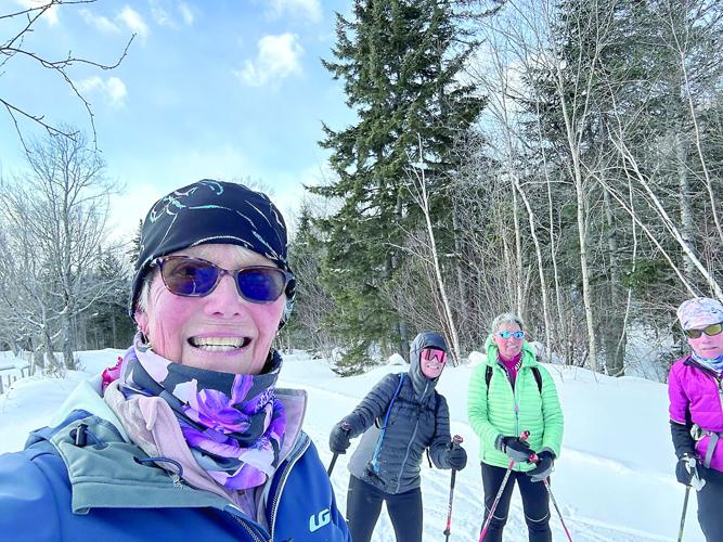Nordic Tracks - skiing alone - four friends