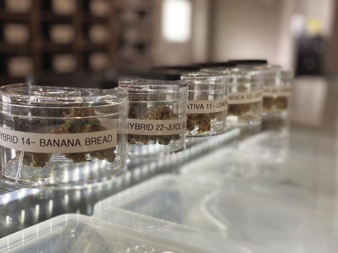 9-30-19 Sanctuary ATC-Product