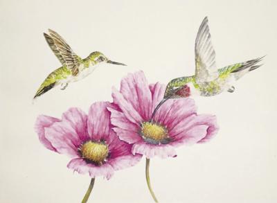 Mary Bastoni-Hummingbird