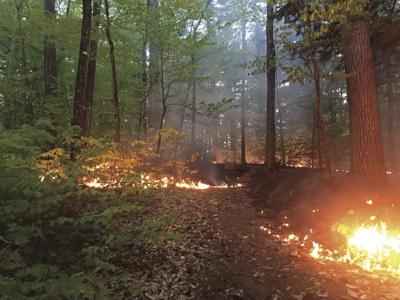 Fire Extinguished In Whitaker Woods On Thursday Local News Conwaydailysun Com