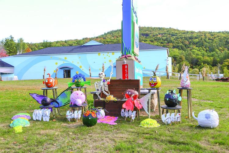 10-01-25 Pumpkin People living shores wider