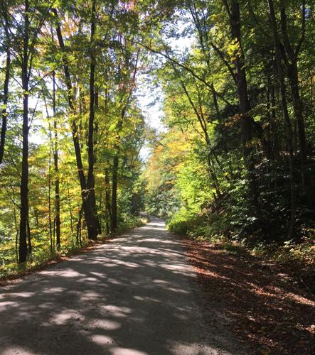 10-7-2023 Wheel Fun-Sawyer River Road