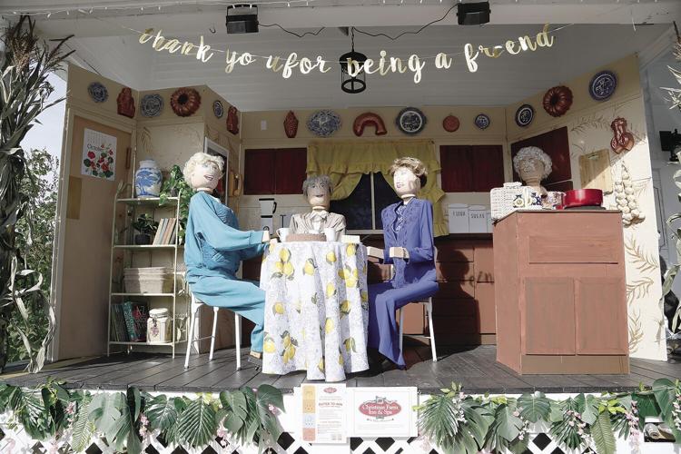 10-05-21 Pumpkins christmas farm wide