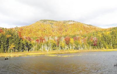 10-10-2020 Parsons-Province Pond