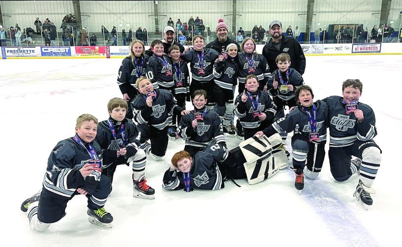 MWV 10U Hockey team wins state title 2