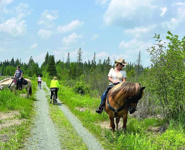 Wheel Family Fun - Tour de NH - Norwegian Fjord Horses