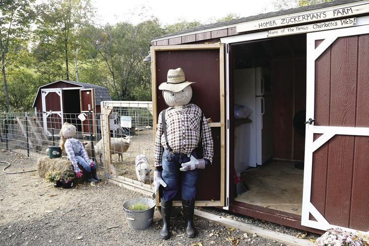 10-05-21 Pumpkins whitneys wide