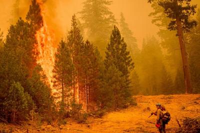 A firefighter monitors a backfire in California, set to clear away dry vegetation that could fuel wildfires.