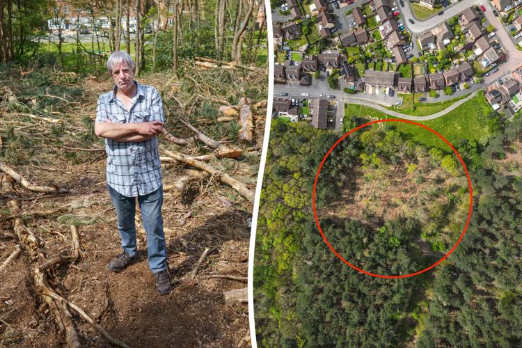 fury-as-bunglin–1537895