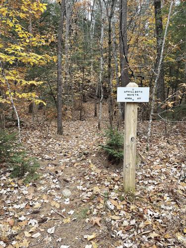 Wheel Family Fun - Leaves and Trails - Albany Town Forest