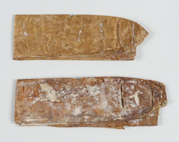 Three 19th century condoms made from animal guts discovered in castle