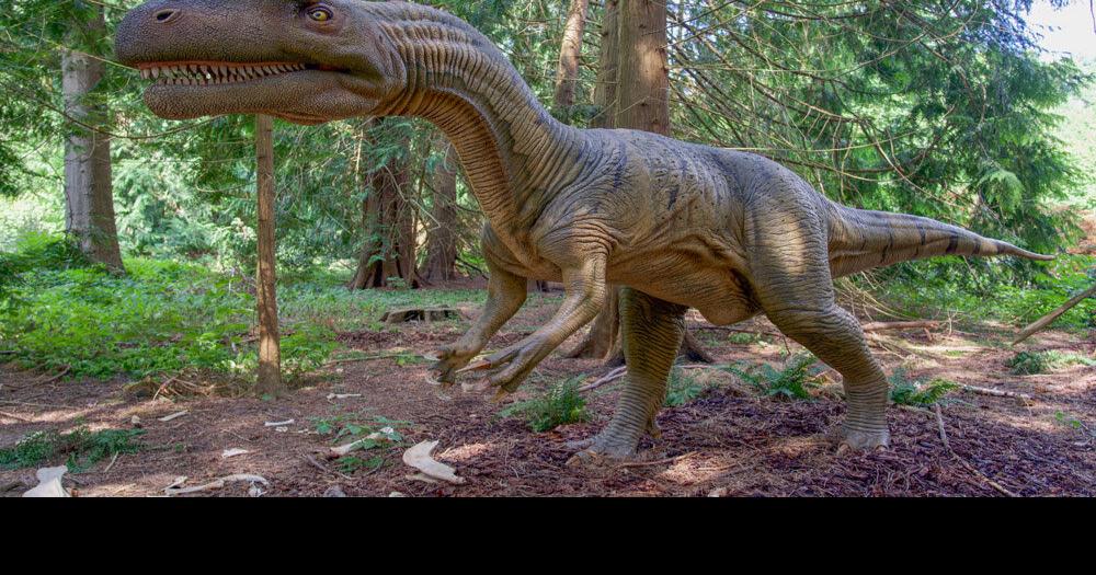 Dinosaurs return to Holderness science center