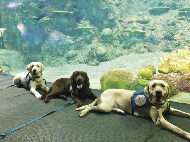 Sea World.jpg